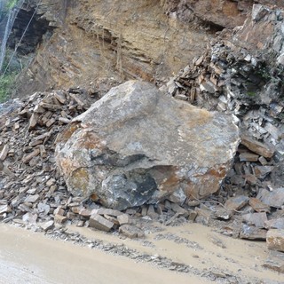 Immagine generica Immagine generica