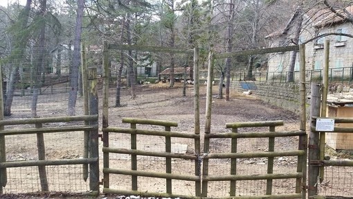 San Romolo, l’area dell’ex Fattoria va a Educo: concessione per due anni con un canone annuo di 1.800 euro, possibile rinnovo San Romolo, l’area dell’ex Fattoria va a Educo: concessione per due anni con un canone annuo di 1.800 euro, possibile rinnovo