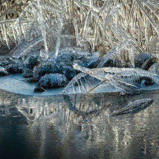 Gennaio 2026 al gelo in Liguria: uno degli inizi d’anno più freddi degli ultimi vent’anni
