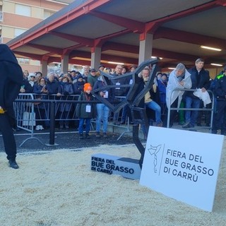 Fiera del Bue Grasso di Carrù: un successo che dura da 113 anni (Video) Fiera del Bue Grasso di Carrù: un successo che dura da 113 anni (Video)