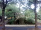 La fontana La fontana