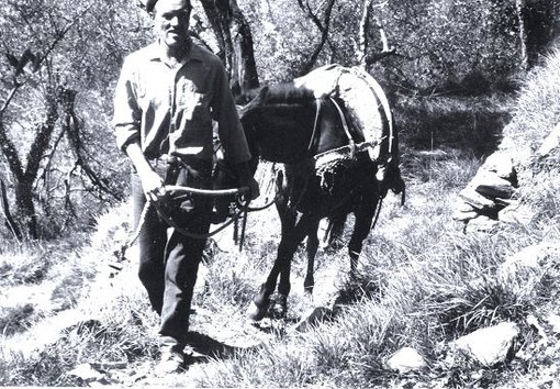 Le streghe ballavano sotto le noci  o le piante di castagne?