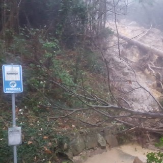 Provincia al lavoro per liberare le strade dell'entroterra flagellate dal vento, frana sulla Sp3 a Cosio d'Arroscia Provincia al lavoro per liberare le strade dell'entroterra flagellate dal vento, frana sulla Sp3 a Cosio d'Arroscia