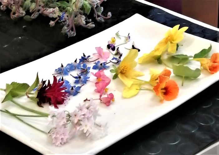 I “fiori nel piatto” del progetto Antea protagonisti anche su France 2