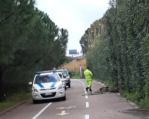 Santo Stefano al Mare: smottamento di terreno sotto l'Aurelia, massi finiscono sulla ciclabile (Foto) Santo Stefano al Mare: smottamento di terreno sotto l'Aurelia, massi finiscono sulla ciclabile (Foto)