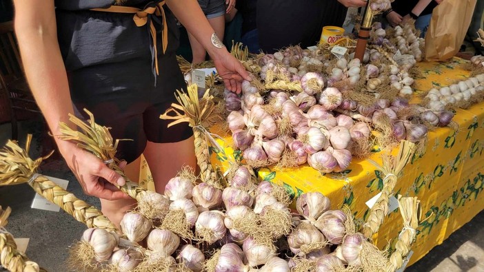 L'Aglio di Vessalico sfida il Grande Fratello: "Il vero pesto si fa con noi", appello a Valeria Marini L'Aglio di Vessalico sfida il Grande Fratello: "Il vero pesto si fa con noi", appello a Valeria Marini