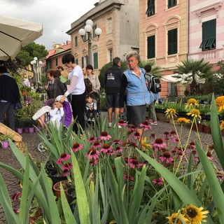 Celle Ligure (SV): il prossimo week end torna "FIORI FRUTTA QUALITÀ" Celle Ligure (SV): il prossimo week end torna "FIORI FRUTTA QUALITÀ"