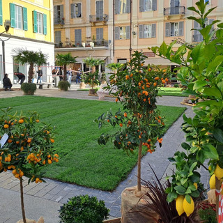 Festival dei Fiori 2026, Sanremo pronta a cinque giorni di spettacoli e meraviglie floreali