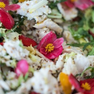Alassio, due esperienze gastronomiche uniche al Festival Nazionale Cucina con i Fiori: ecco la "Flowers Dinner Experience" Alassio, due esperienze gastronomiche uniche al Festival Nazionale Cucina con i Fiori: ecco la "Flowers Dinner Experience"