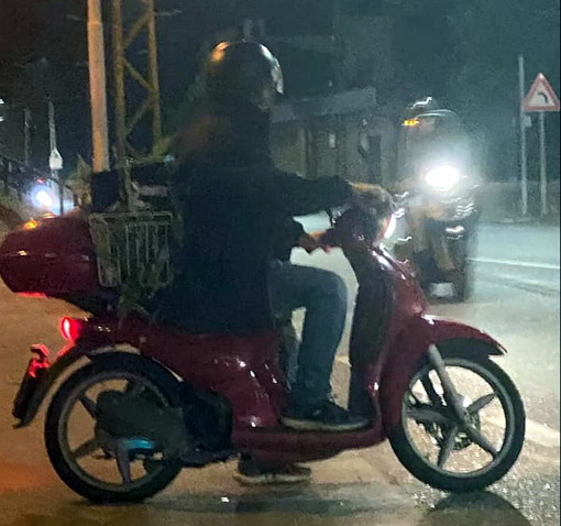 Bordighera: nuovi furti all'azienda agricola 'Amalberti', appello a non comprare dal 'solito' ladro (Foto) Bordighera: nuovi furti all'azienda agricola 'Amalberti', appello a non comprare dal 'solito' ladro (Foto)