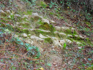 Filari di pietre Filari di pietre