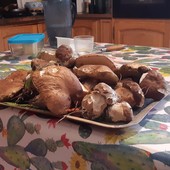 Triora, nuove tariffe 2026 per la raccolta funghi: sconti fino a maggio e raddoppi da giugno per residenti