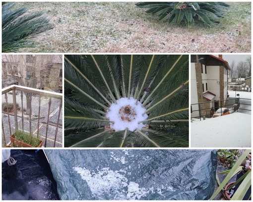 Freddo intenso e temperature in picchiata sulla provincia: nevischio ed effetto 'Graupeln' nell'entroterra Freddo intenso e temperature in picchiata sulla provincia: nevischio ed effetto 'Graupeln' nell'entroterra