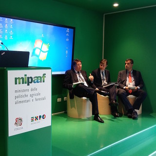 La dieta mediterranea traghetta il forum di Imperia a Dubai: verso l'esposizione universale del 2020 negli Emirati Arabi