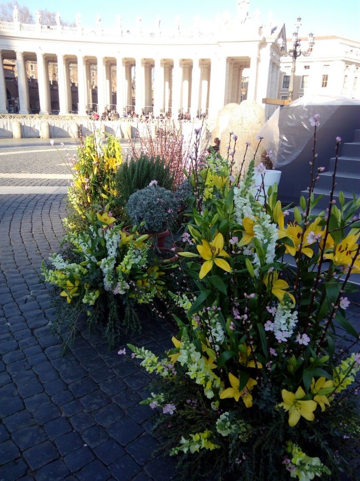 Sanremo: circa 5mila steli di fiori recisi per ornare la Basilica di San Pietro a Roma