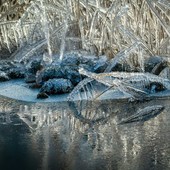 Gennaio 2026 al gelo in Liguria: uno degli inizi d’anno più freddi degli ultimi vent’anni