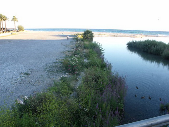 Ventimiglia: botola sull'argine del Roya coperta dalla vegetazione, urgente un intevento