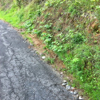 Ventimiglia: frana in via Sant'Anna. Alcuni alberi in strada da questa mattina, intervento dei VVF