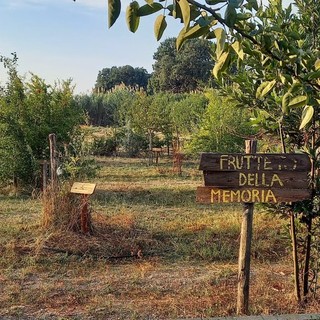 Ventimiglia: domani incontro pubblico su ‘Voci della legalità – Immagini e testimonianze dai beni confiscati alle mafie’