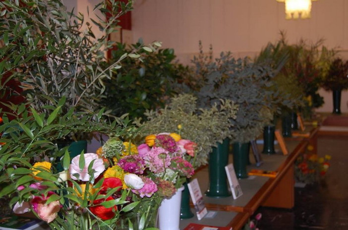 Bordighera: ogni mese l'abbinamento di un fiore ad un libro con Floramondadori e R6B Agricoltura