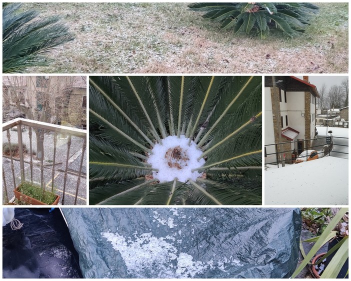 Freddo intenso e temperature in picchiata sulla provincia: nevischio ed effetto 'Graupeln' nell'entroterra Freddo intenso e temperature in picchiata sulla provincia: nevischio ed effetto 'Graupeln' nell'entroterra