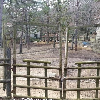 San Romolo, l’area dell’ex Fattoria va a Educo: concessione per due anni con un canone annuo di 1.800 euro, possibile rinnovo San Romolo, l’area dell’ex Fattoria va a Educo: concessione per due anni con un canone annuo di 1.800 euro, possibile rinnovo