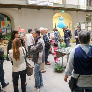 Sanremo: alla 'Forza della Natura' sfiorate le 8.000 presenze dopo 7 giorni di apertura della mostra a Santa Tecla