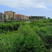 Messa in sicurezza del Roya a Ventimiglia, "formare tavolo di confronto con i comuni francesi": la mozione dell'opposizione Messa in sicurezza del Roya a Ventimiglia, "formare tavolo di confronto con i comuni francesi": la mozione dell'opposizione