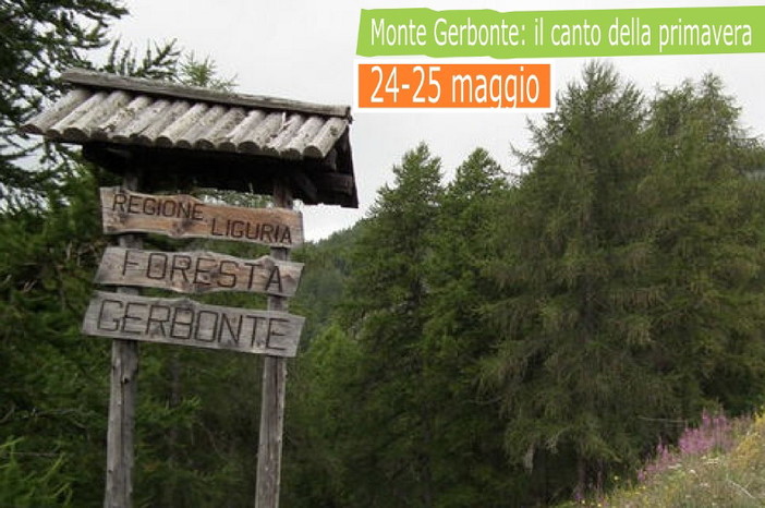 Escursione guidata nel prossimo fine settimana sui sentieri che attraversano il Monte Gerbonte Escursione guidata nel prossimo fine settimana sui sentieri che attraversano il Monte Gerbonte