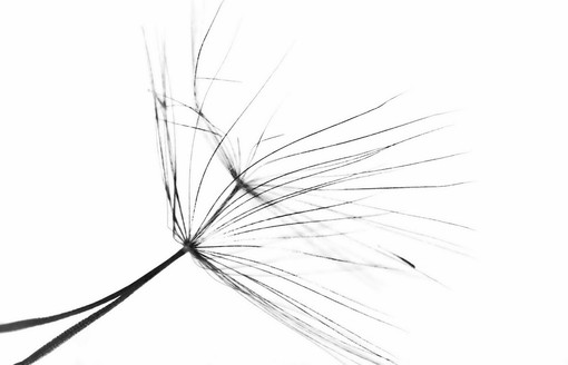 Ultimo appuntamento degli “Incontri d’estate 2013” al Museo Bicknell con la mostra fotografica 'Di fronte e attraverso' Ultimo appuntamento degli “Incontri d’estate 2013” al Museo Bicknell con la mostra fotografica 'Di fronte e attraverso'