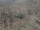 Chiusa per frana una deviazione della strada provinciale 548 tra i comuni di Montalto e Badalucco (Foto e Video) Chiusa per frana una deviazione della strada provinciale 548 tra i comuni di Montalto e Badalucco (Foto e Video)