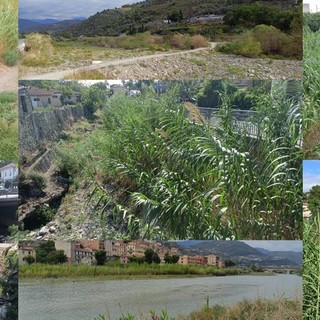Arrivano le piogge: Comuni dell'estremo Ponente pronti per la pulizia di torrenti e alvei (Foto) Arrivano le piogge: Comuni dell'estremo Ponente pronti per la pulizia di torrenti e alvei (Foto)