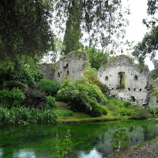 Maria Sorrentino al comando della classifica parziale del concorso fotografico 'Carpe Photom'