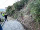 Le immagini della strada ripulita