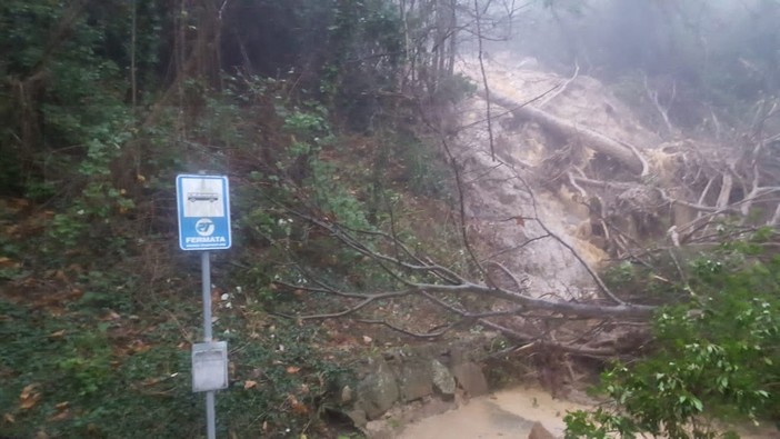 Provincia al lavoro per liberare le strade dell'entroterra flagellate dal vento, frana sulla Sp3 a Cosio d'Arroscia Provincia al lavoro per liberare le strade dell'entroterra flagellate dal vento, frana sulla Sp3 a Cosio d'Arroscia