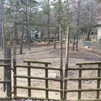 San Romolo, l’area dell’ex Fattoria va a Educo: concessione per due anni con un canone annuo di 1.800 euro, possibile rinnovo San Romolo, l’area dell’ex Fattoria va a Educo: concessione per due anni con un canone annuo di 1.800 euro, possibile rinnovo