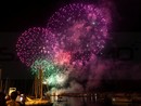 Sanremo: il PRC chiede fuochi pirotecnici silenziosi per il Capodanno "Segno di civiltà e rispetto per gli animali" Sanremo: il PRC chiede fuochi pirotecnici silenziosi per il Capodanno "Segno di civiltà e rispetto per gli animali"