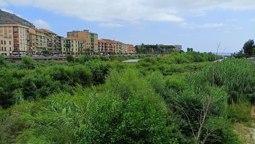 Messa in sicurezza del Roya a Ventimiglia, "formare tavolo di confronto con i comuni francesi": la mozione dell'opposizione