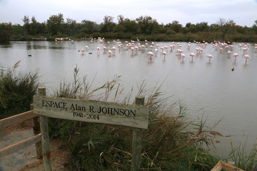 Nel prossimo weekend, escursione nella Camargue: camminando e pedalando sulle tracce della Santa Maria Maddalena