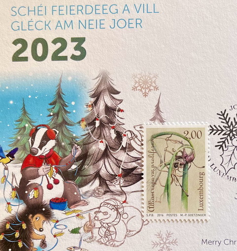 La Cipolla Egiziana diventa un francobollo in Lussemburgo: a Camporosso si coltiva da 12 anni La Cipolla Egiziana diventa un francobollo in Lussemburgo: a Camporosso si coltiva da 12 anni