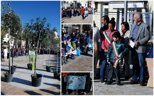 Arma di Taggia: le più belle foto della 'Festa degli Alberi' di questa mattina in piazza Chierotti