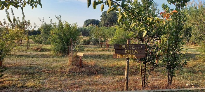 Ventimiglia: domani incontro pubblico su ‘Voci della legalità – Immagini e testimonianze dai beni confiscati alle mafie’