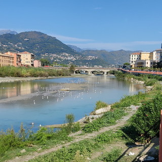 Ventimiglia: rimozione auto dal Roya, interrogazione di Ioculano. Giampedrone "Manca la documentazione dal Comune" Ventimiglia: rimozione auto dal Roya, interrogazione di Ioculano. Giampedrone "Manca la documentazione dal Comune"