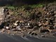 Maltempo: nottata di lavoro per i vigili del fuoco, frane e strade chiuse a Imperia e Sanremo Maltempo: nottata di lavoro per i vigili del fuoco, frane e strade chiuse a Imperia e Sanremo