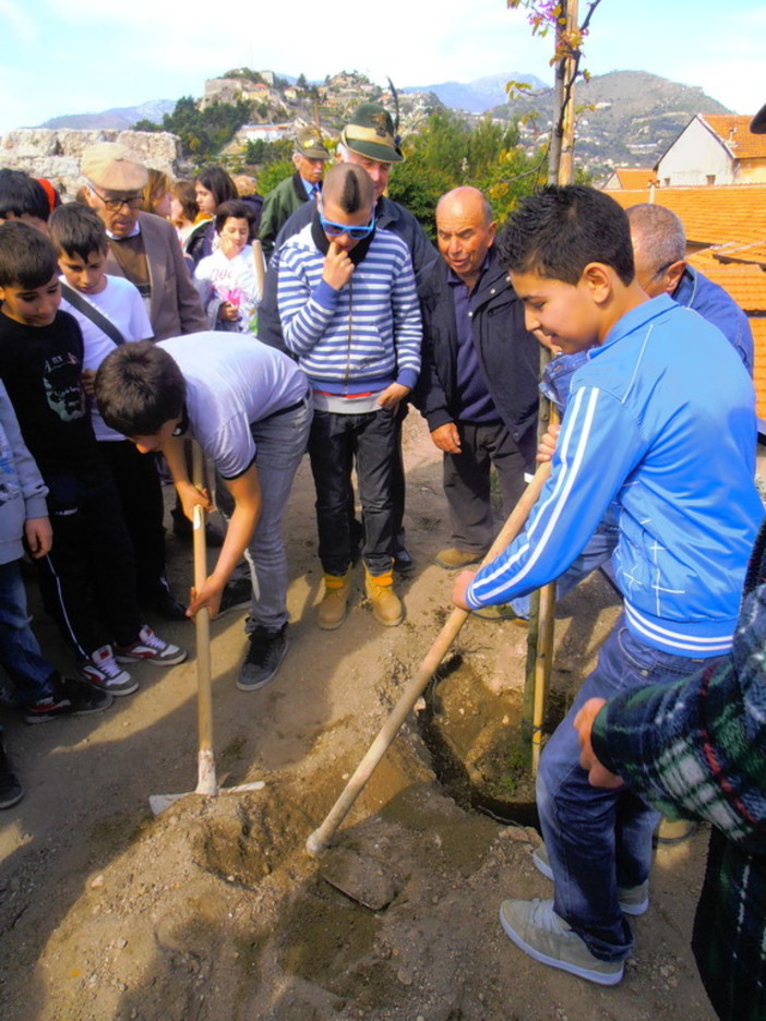Ventimiglia: domani mattina dalle 9 l'appuntamento con la tradizionale 'Festa degli Alberi' Ventimiglia: domani mattina dalle 9 l'appuntamento con la tradizionale 'Festa degli Alberi'