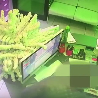 Bordighera: ruba un cellulare dalla scrivania ma il proprietario lo ferma e lo consegna alla municipale (Video) Bordighera: ruba un cellulare dalla scrivania ma il proprietario lo ferma e lo consegna alla municipale (Video)