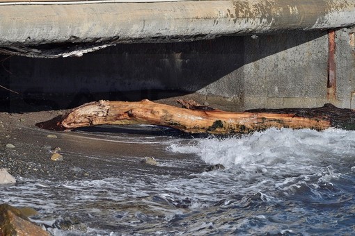 Sanremo: l'erosione del mare sta 'mangiando' la soletta alla foce del torrente San Romolo, urge un intervento (Foto) Sanremo: l'erosione del mare sta 'mangiando' la soletta alla foce del torrente San Romolo, urge un intervento (Foto)