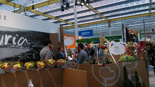 Ottimi risultati per la floricoltura ligure in Olanda dove tra operatori ponentini a 'L'unione fa la forza' (Foto) Ottimi risultati per la floricoltura ligure in Olanda dove tra operatori ponentini a 'L'unione fa la forza' (Foto)