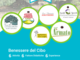 Confesercenti presenta il progetto 'Fattorie di gusto', il connubio tra esperienza e prodotti tipici ogni mercoledì Confesercenti presenta il progetto 'Fattorie di gusto', il connubio tra esperienza e prodotti tipici ogni mercoledì