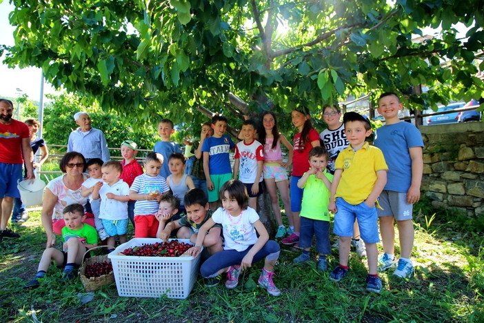 Pontedassio: nuovo dolcissimo appuntamento a Villa Viani con la festa delle ciliegie (Foto)